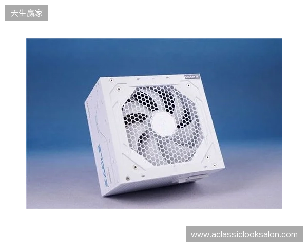 黑白双鹰，白金降临：技嘉猎鹰 冰猎鹰白金电源4月27日开售